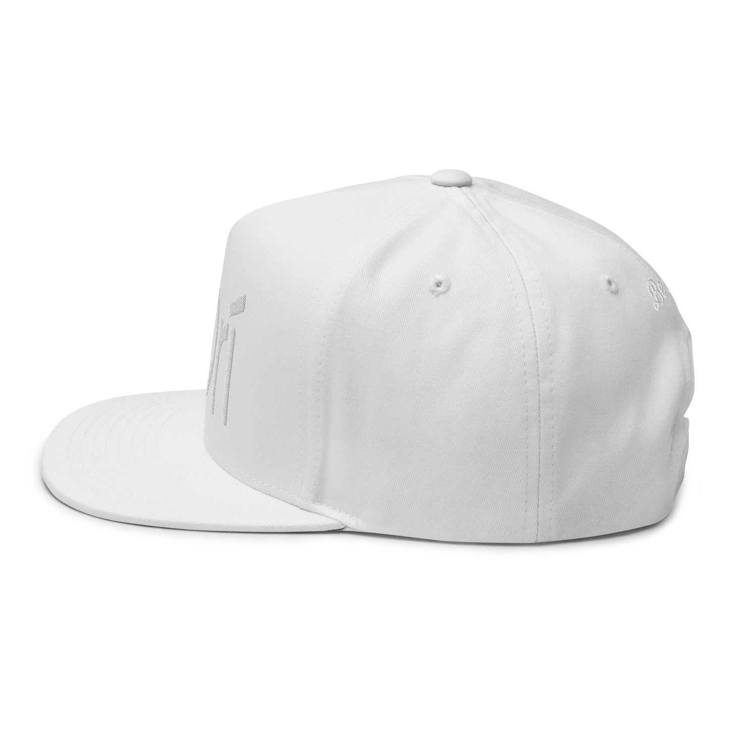 Ori Flat Bill Cap